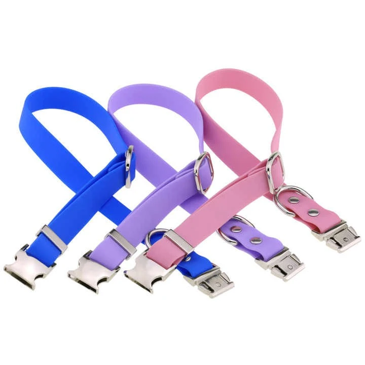 Best Dog Collars
