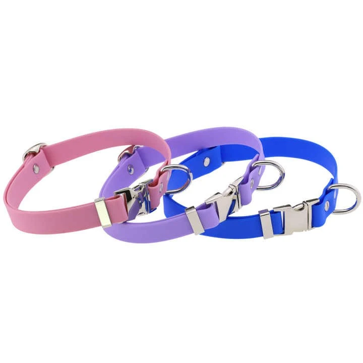 Best Dog Collars
