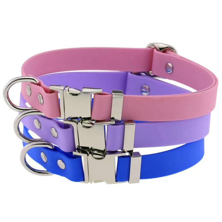 Best Dog Collars