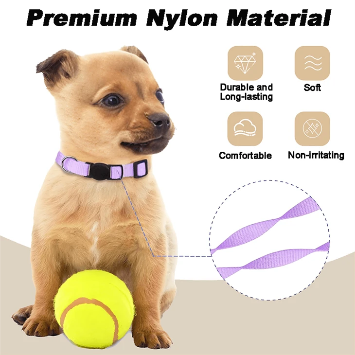 Nylon Collar For Small Puppy