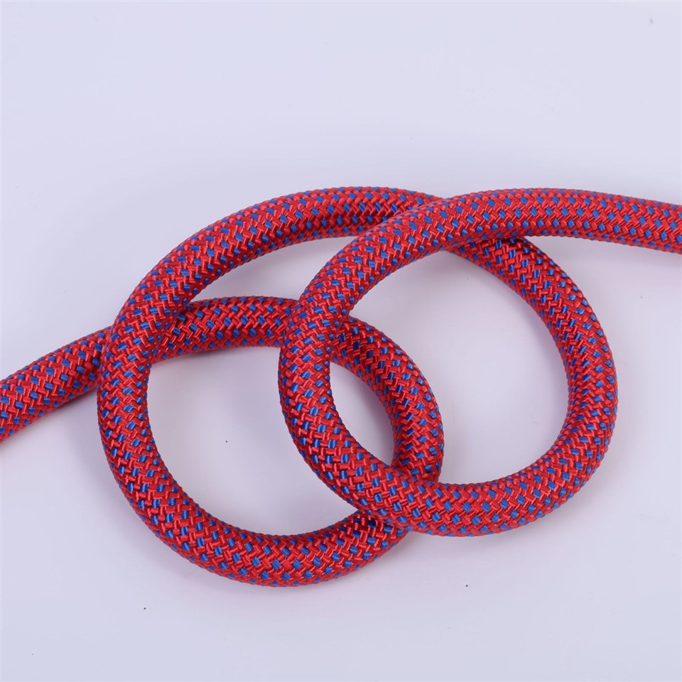 Padded Handle Dog Leash best