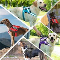 ID Window Dog Harness ID Window Dog Harness