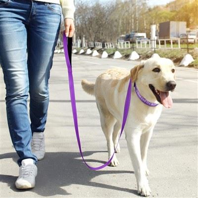 Personalized Embroidered Dog Collar Personalized Embroidered Dog Collar