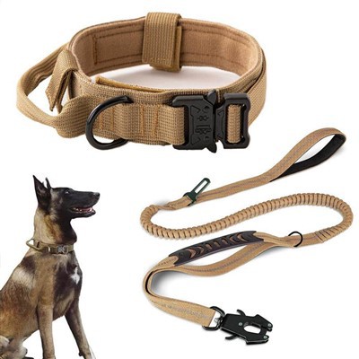 Taktiskais suņu kaklasiksnas komplekts