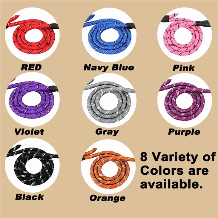 Traffic Padded Two Handle Dog Leash